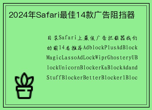 2024年Safari最佳14款广告阻挡器 
