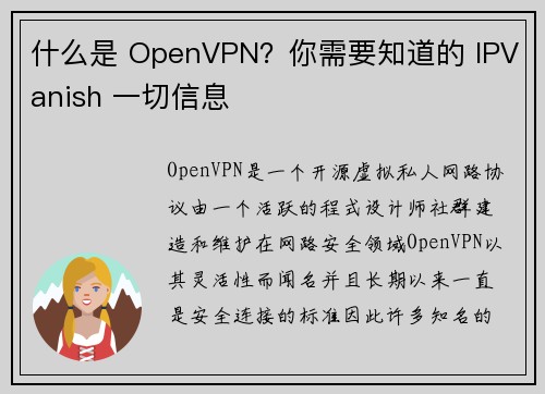 什么是 OpenVPN？你需要知道的 IPVanish 一切信息